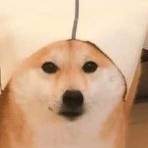 Meet your Posher, Theodore